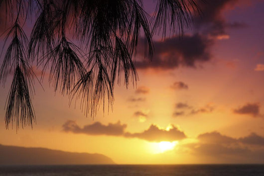 Hawaii Oahu Beautiful Sunset Wall Decal Design 3