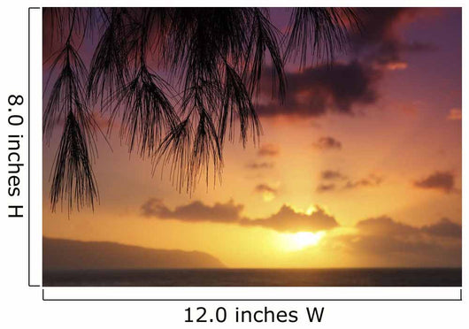 Hawaii Oahu Beautiful Sunset Wall Decal Design 3