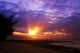 USA Hawaii Beautiful Sunset Wall Decal Design 2