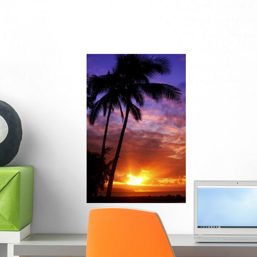 USA Hawaii Beautiful Sunset Wall Decal Design 1