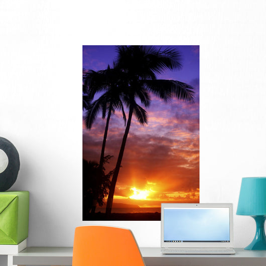 USA Hawaii Beautiful Sunset Wall Decal Design 1