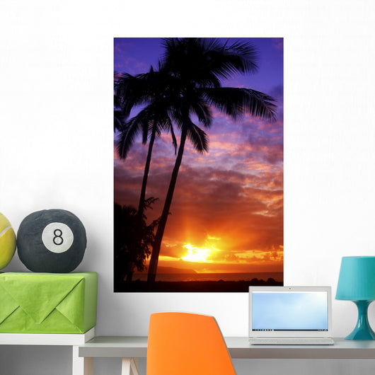 USA Hawaii Beautiful Sunset Wall Decal Design 1