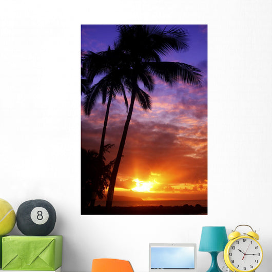 USA Hawaii Beautiful Sunset Wall Decal Design 1