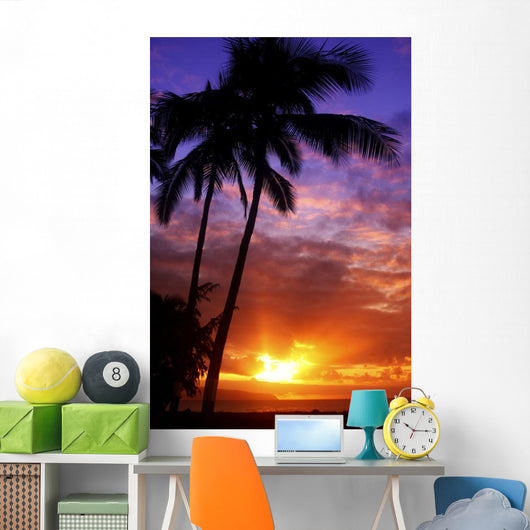 USA Hawaii Beautiful Sunset Wall Decal Design 1