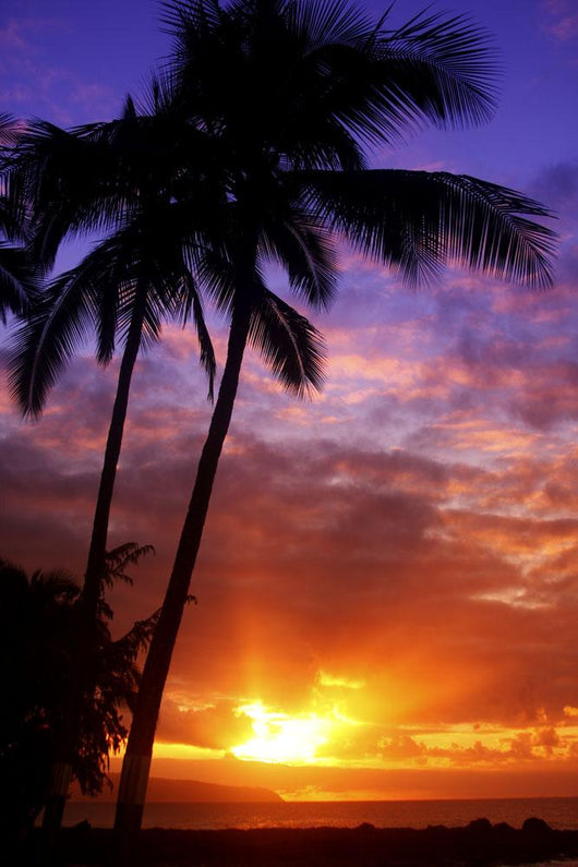 USA Hawaii Beautiful Sunset Wall Decal Design 1