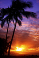 USA Hawaii Beautiful Sunset Wall Decal Design 1