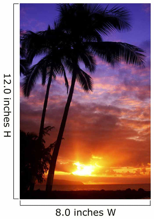 USA Hawaii Beautiful Sunset Wall Decal Design 1