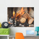 Feuer Wall Mural