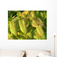 Foliage Effect Wall Decal