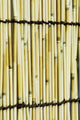 Japan Tokyo Meiji Jingu Wall Decal Design 2