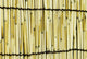 Japan Tokyo Meiji Jingu Wall Decal Design 1