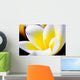 Thailand Phuket Kata Noi Wall Decal Design 2