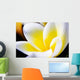 Thailand Phuket Kata Noi Wall Decal Design 2