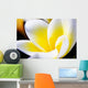 Thailand Phuket Kata Noi Wall Decal Design 2