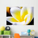Thailand Phuket Kata Noi Wall Decal Design 2