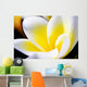 Thailand Phuket Kata Noi Wall Decal Design 2