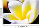 Thailand Phuket Kata Noi Wall Decal Design 2