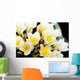 Thailand Phuket Kata Noi Wall Decal Design 1