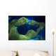 Micronesia Palau Aerial Rock Wall Decal