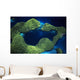 Micronesia Palau Aerial Rock Wall Decal