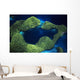 Micronesia Palau Aerial Rock Wall Decal
