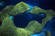 Micronesia Palau Aerial Rock Wall Decal