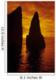 Galapagos Orange Sunrise over Wall Decal