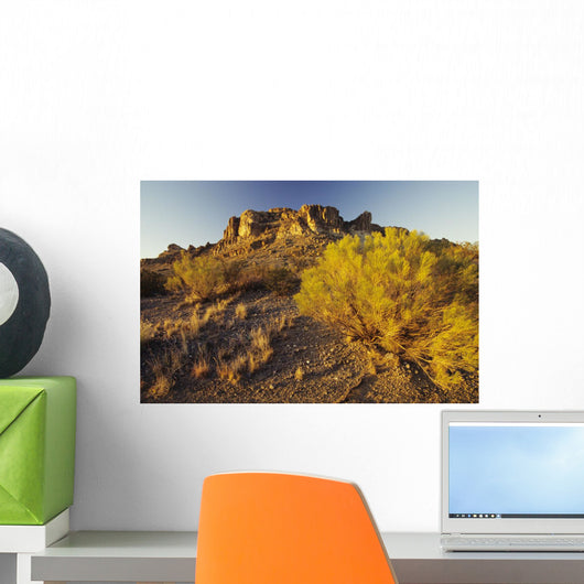 USA Rocky Plateau and Wall Decal