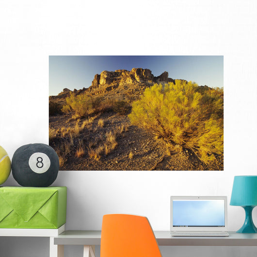 USA Rocky Plateau and Wall Decal