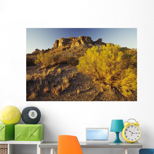 USA Rocky Plateau and Wall Decal
