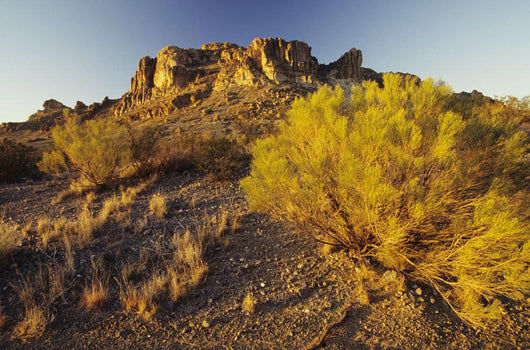USA Rocky Plateau and Wall Decal