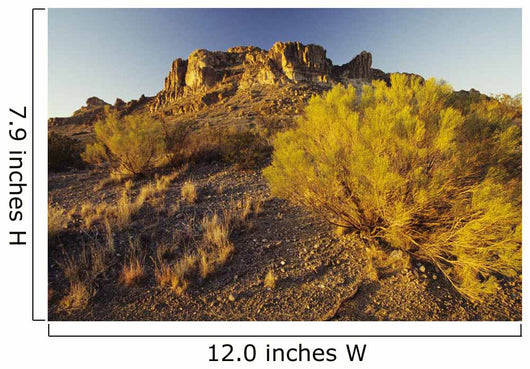 USA Rocky Plateau and Wall Decal