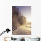 Bald Eagles Trees along Wall Decal