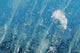 Alaska Juneau Mendenhall Glacier Wall Decal