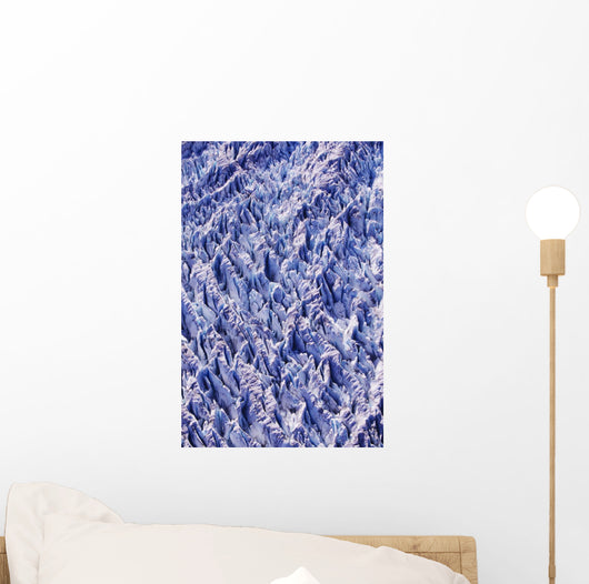 Alaska Tracy Arm-fords Terror Wall Decal Design 2