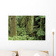USA Olympic National Park Wall Decal