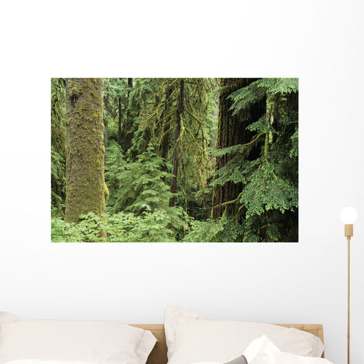 USA Olympic National Park Wall Decal