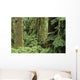 USA Olympic National Park Wall Decal