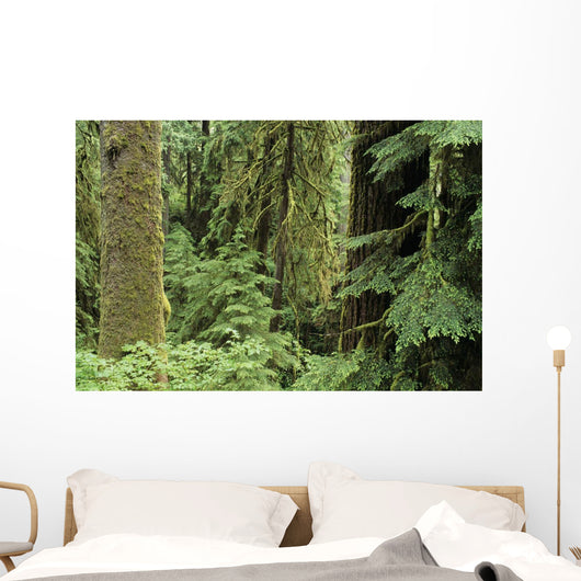 USA Olympic National Park Wall Decal