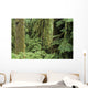 USA Olympic National Park Wall Decal