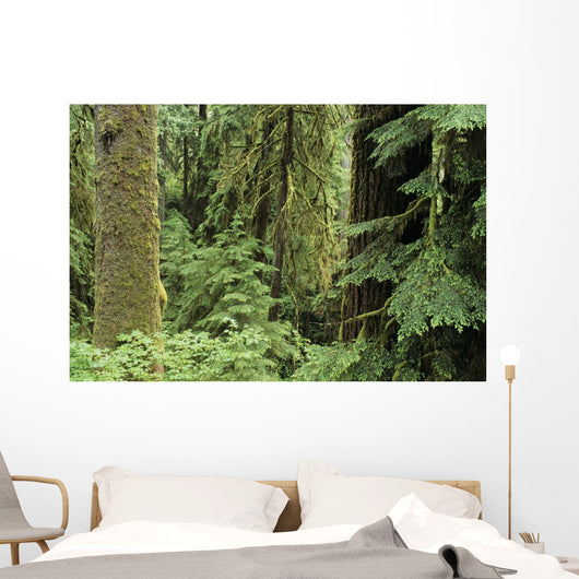USA Olympic National Park Wall Decal