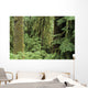 USA Olympic National Park Wall Decal