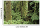 USA Olympic National Park Wall Decal