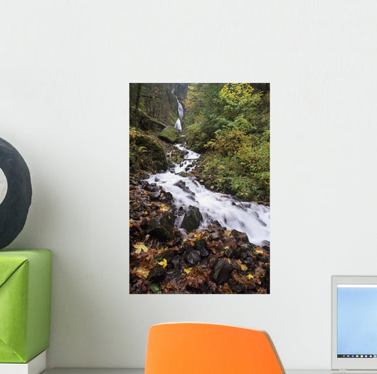 USA Columbia River Gorge Wall Decal Design 1