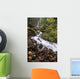 USA Columbia River Gorge Wall Decal Design 1