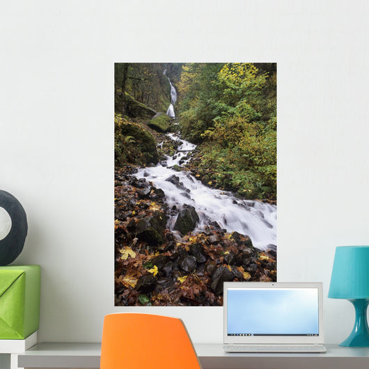 USA Columbia River Gorge Wall Decal Design 1
