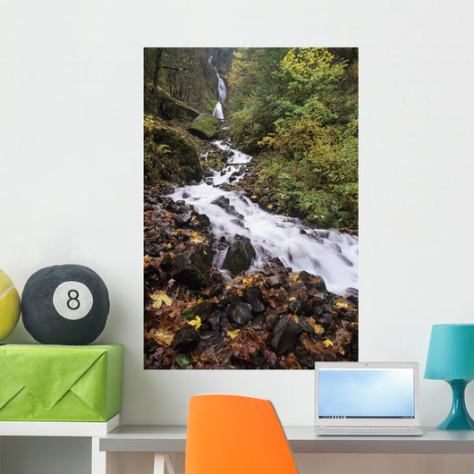 USA Columbia River Gorge Wall Decal Design 1