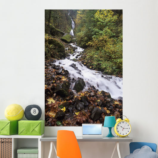 USA Columbia River Gorge Wall Decal Design 1