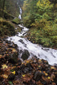 USA Columbia River Gorge Wall Decal Design 1