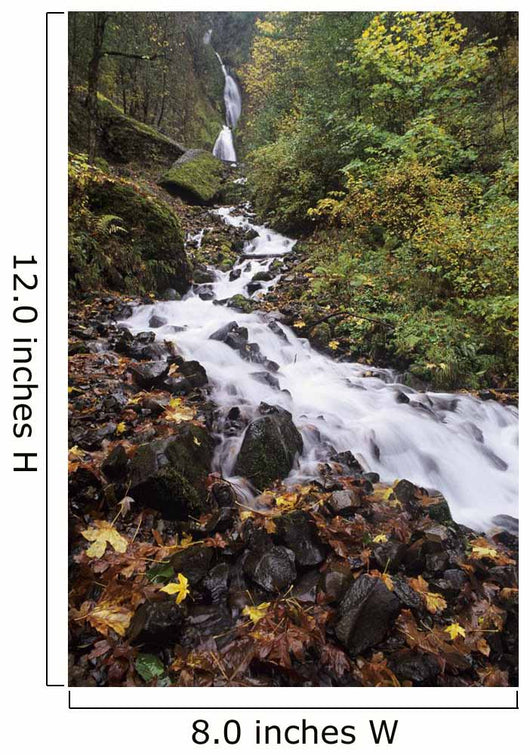 USA Columbia River Gorge Wall Decal Design 1